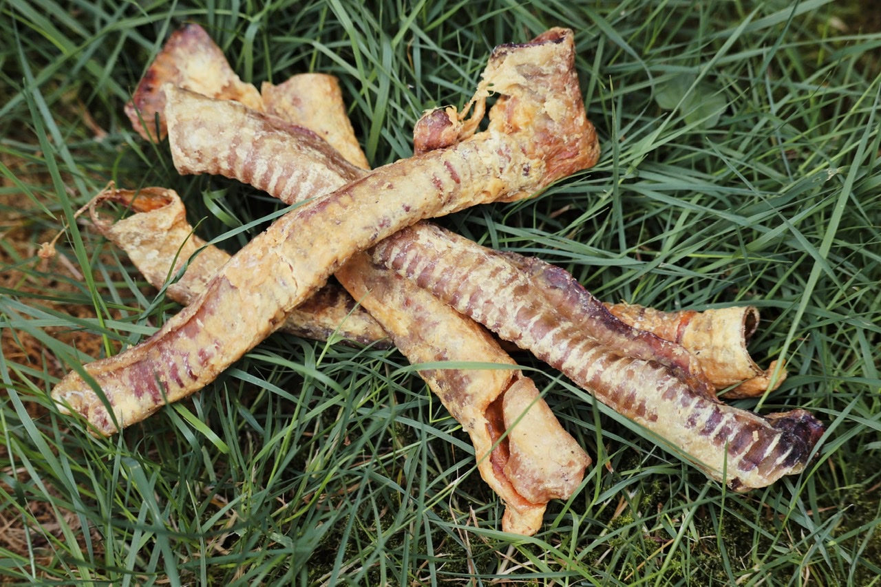 Lammstrosse - ein knackiger Snack für kleinere, kaufreudige Hunde!