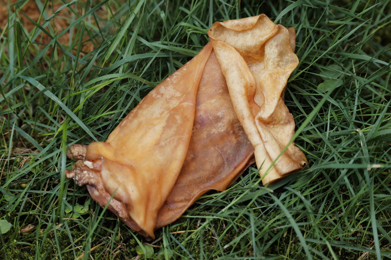 Lammohren - ein toller Snack für futterempfindliche Hunde!